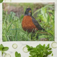 Curious American Robin Songbird in the Grass Towel