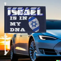 Israel Is In My DNA Thumbprint Car Flag