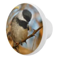 Cute Hopeful Black-Capped Chickadee Songbird Ceramic Knob