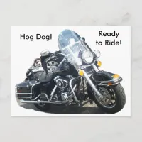 Hog Dog - Ready to Ride! Postcard