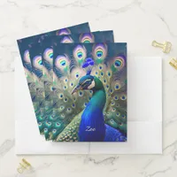 Gorgeous peacock with teal and gold plumage pocket folder