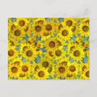 Sunflowers Postcard