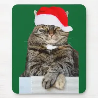 Christmas Cat Humbug Photo with Santa Hat Mouse Pad