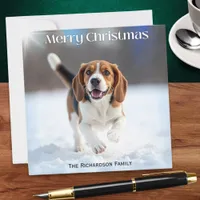 Festive Beagle Dog In Winter Snow Christmas Holiday Card