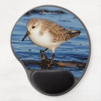 Cute Sanderling Sandpiper Shorebird Wanders Beach Gel Mouse Pad