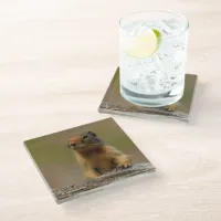 Funny Cute Saucy Columbian Ground Squirrel Glass Coaster