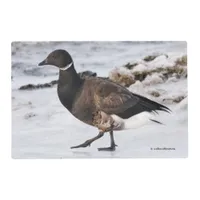 A Goosesteppin' Brant Placemat