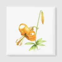 Wild Tiger Lily Magnet