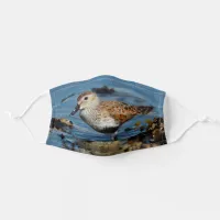 Beautiful Dunlin Sandpiper Goes Solo on the Beach Adult Cloth Face Mask