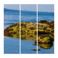 Pebble Beach, Galiano Island, British Columbia Triptych