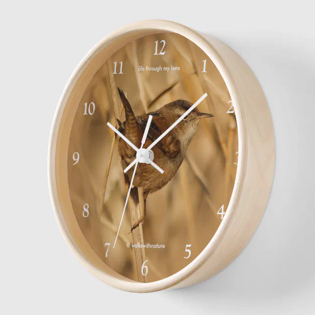 Beautiful Marsh Wren Songbird in the Marshes Clock