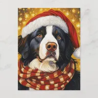 Christmas Bernese Mountain Dog in Santa Hat Postcard