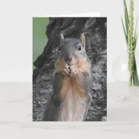 Just Checking In | Squirrel Photography Card