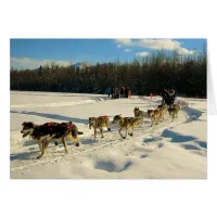 Iditarod Trail Sled Dog Race