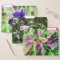 Watercolor Floral and Botanical in Purple and Pink File Folder