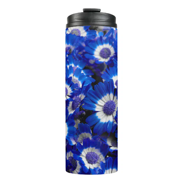 Beautiful Royal Blue Cineraria Flowers Thermal Tumbler