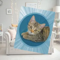 Hello cutie - cute kitten fleece blanket