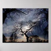 Mystical Night, Moon shining through Trees Poster