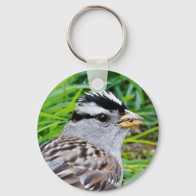 White-Crowned Sparrow Songbird in the Grass Keychain