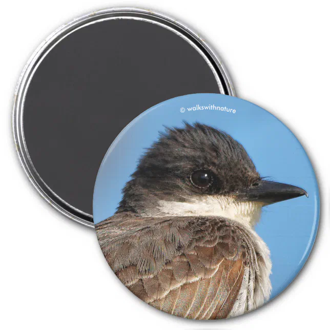 Eastern Kingbird on a Branch Magnet