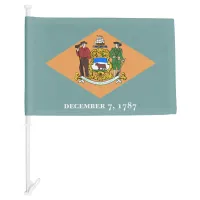 Delaware State Car Flag