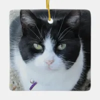 Personalied Cat Photo with  Name & Year Ceramic Ornament