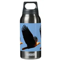 Breathtaking Bald Eagle in Winter Sunset Flight Insulated Water Bottle