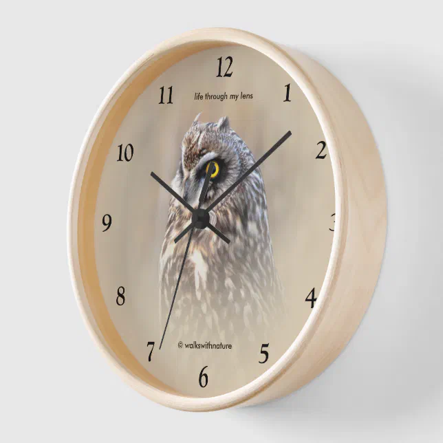 Stunning Short-Eared Owl in Marshes Clock