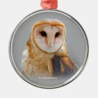 A Serene and Beautiful Barn Owl Metal Ornament