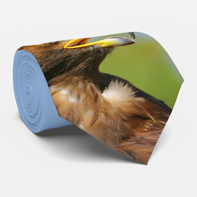 Vision of a Beautiful Young Golden Eagle Tie