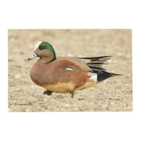 An American Wigeon on the Beach Placemat