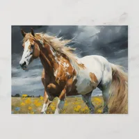 A Gorgeous Pinto Horse Postcard