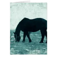 Winter Percheron