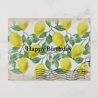 Vintage Lemons Happy Birthday Postcard