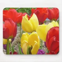 Tulips of the Botanical Garden Mouse Pad