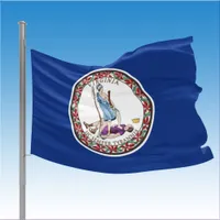 Virginia State House Flag