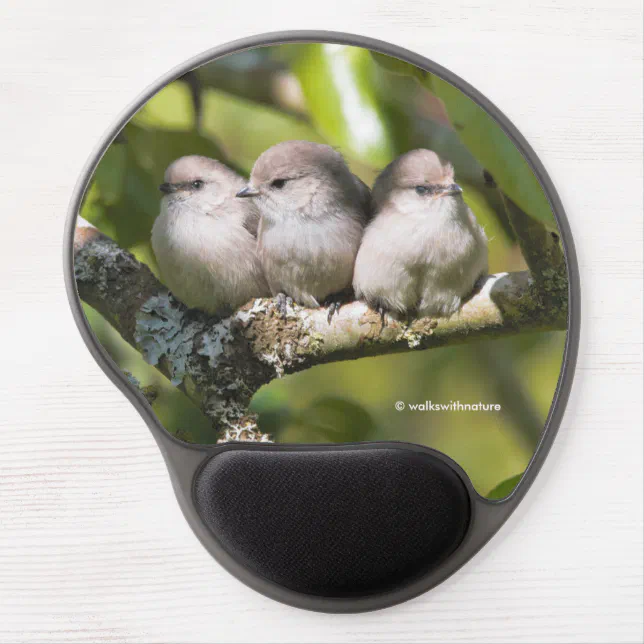 Cute Baby Bushtit Songbirds in the Pear Tree Gel Mouse Pad