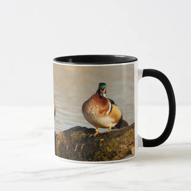 Trio of Wood Ducks on a Big Log Mug