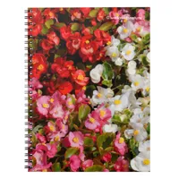 Colorful Wax Begonias Notebook