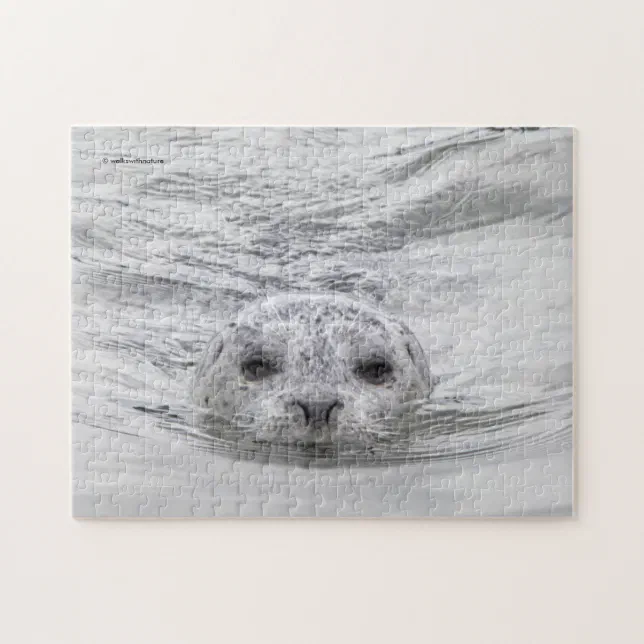 Curious Harbor Seal Swims the Pier Dock Jigsaw Puzzle
