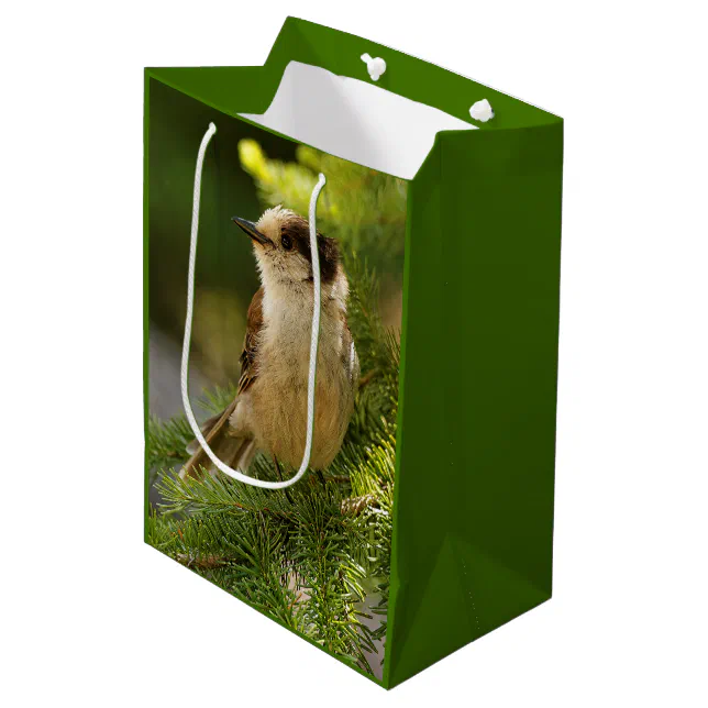 Profile of a Cute Grey Jay / Whiskeyjack Medium Gift Bag