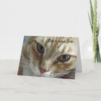 Humorous Cat Birthday Card