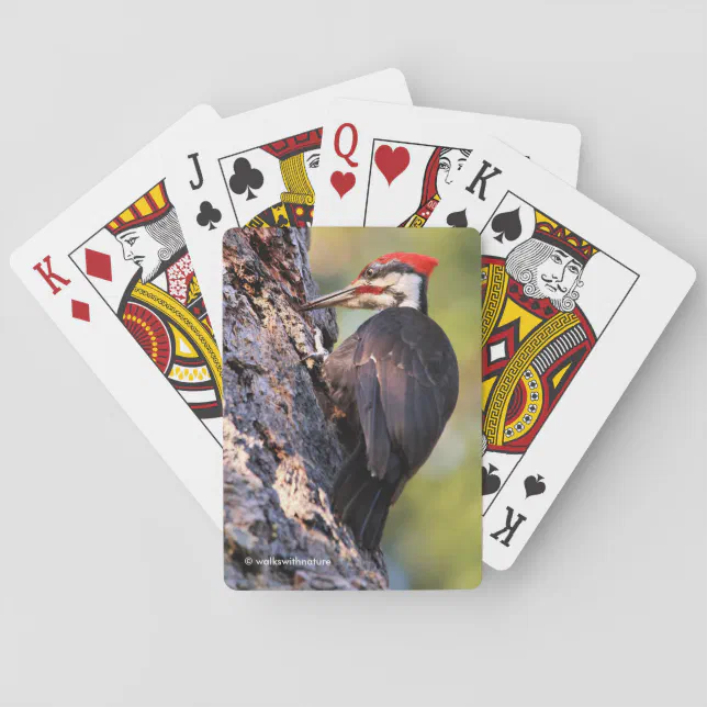 Beautiful Pileated Woodpecker on the Tree Poker Cards