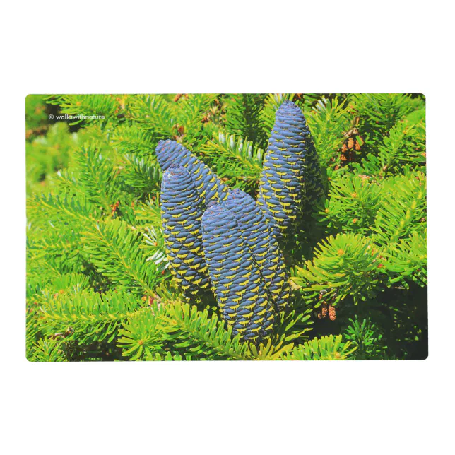 Big Blue Korean Fir Cones Placemat