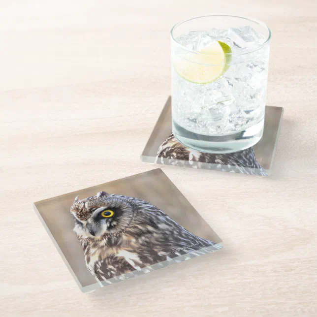 Stunning Short-Eared Owl in the Marshes Glass Coaster