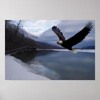 Chilkat Eagle Reserve Poster