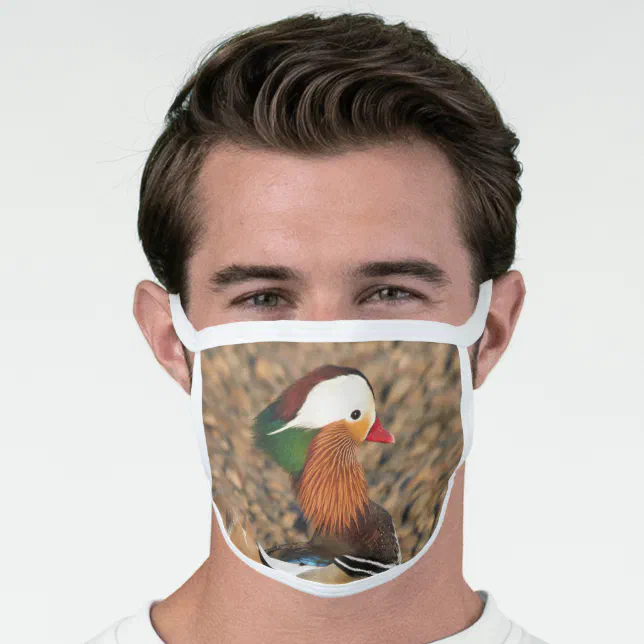 Beautiful Mandarin Duck on the Rocks Face Mask