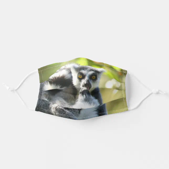 Funny Surprised Lemurs of Madagascar Adult Cloth Face Mask