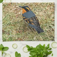 Stunning Varied Thrush Songbird in the Grass Kitchen Towel
