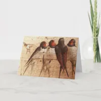 Barn Swallows, Birthday Card